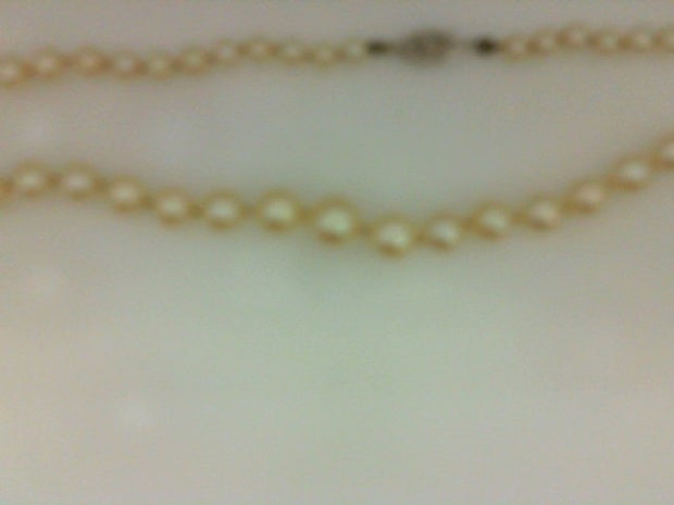 Pearl Necklace