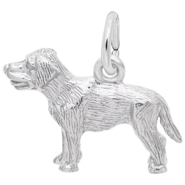 Silver Charm